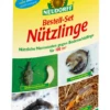 NEUDORFF Nützlinge Für Großflächen