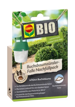 COMPO Bio-Buchsbaumzünslerfalle