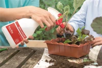 BIRCHMEIER Handsprühgerät „Foxy Plus“, 0,5 L 6 BIRCHMEIER Handsprühgerät „Foxy Plus“, 0,5 L – Bild 6