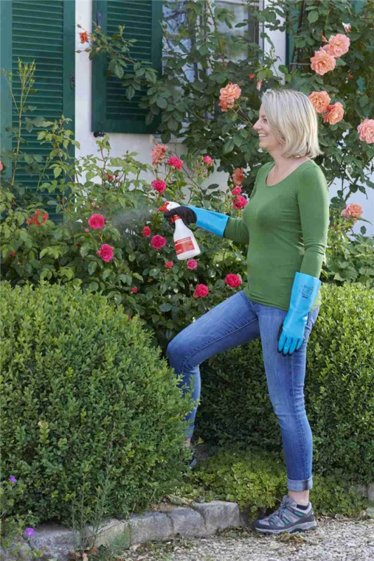 BIRCHMEIER Handsprühgerät „Foxy Plus“, 0,5 L 3 BIRCHMEIER Handsprühgerät „Foxy Plus“, 0,5 L – Bild 3