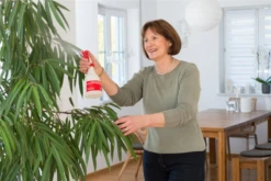 BIRCHMEIER Handsprühgerät „Foxy Plus“, 0,5 L 11 BIRCHMEIER Handsprühgerät „Foxy Plus“, 0,5 L -Blatt Tanz Verkäufe 76110340134043 800x800