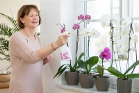 BIRCHMEIER Handsprühgerät „Melua 0.5“, 0,5 L 4 BIRCHMEIER Handsprühgerät „Melua 0.5“, 0,5 L – Bild 4