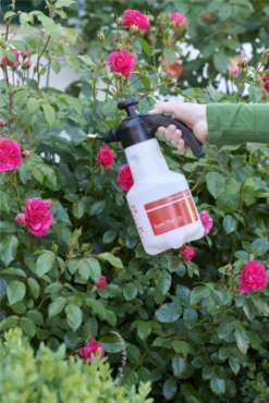 BIRCHMEIER Drucksprühgerät „Super Star 1.25“, 1,25 L -Blatt Tanz Verkäufe 76110341309032 800x800