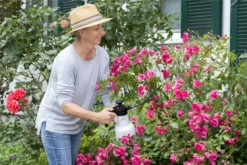 BIRCHMEIER Drucksprühgerät „Rose Star 1.25“, 1,25 L -Blatt Tanz Verkäufe 76110341400942 800x800