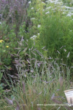 Blatt Tanz Verkäufe -Blatt Tanz Verkäufe P2000739 2 800x800