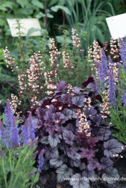 Blatt Tanz Verkäufe -Blatt Tanz Verkäufe P3002107 2 800x800