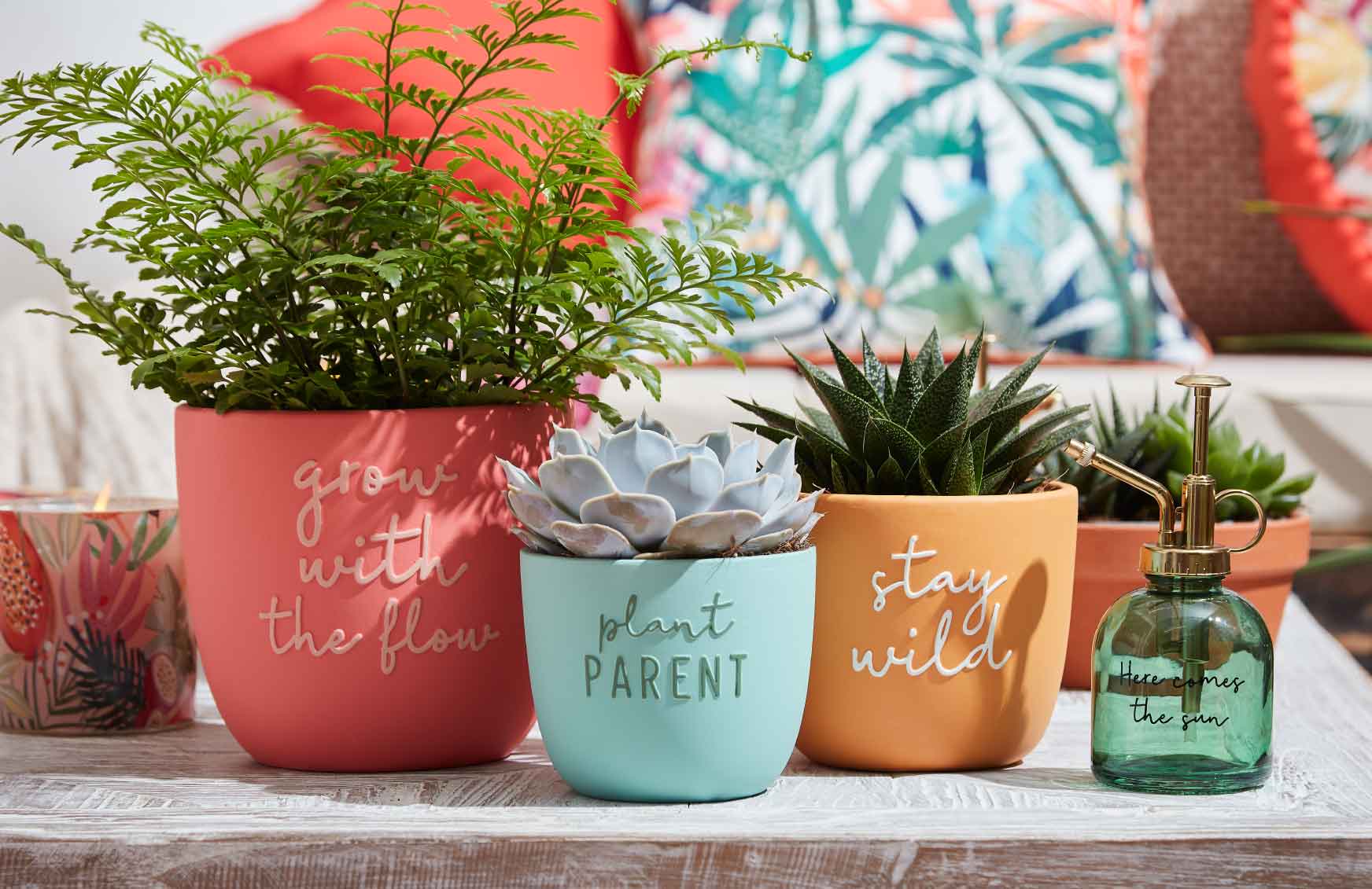 Blatt Tanz Verkäufe -Blatt Tanz Verkäufe super bloom pots and planters bm